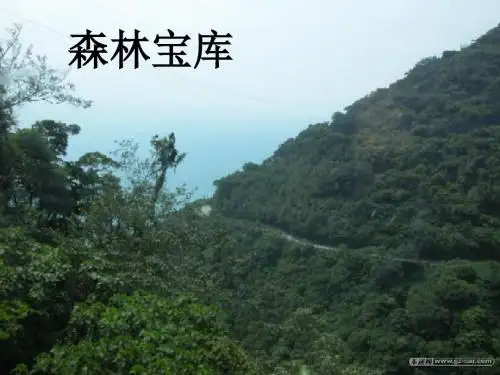 八年级地理下册第八章第二节台湾省的地理环境与经济发展课件(新版)湘教版
