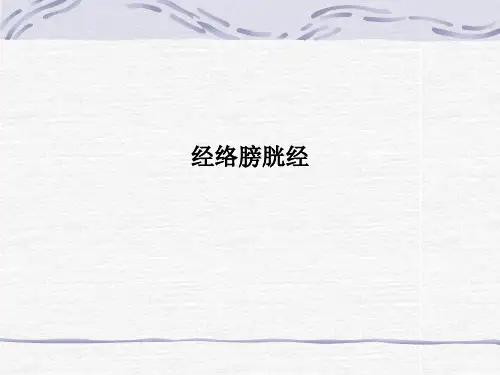 经络膀胱经