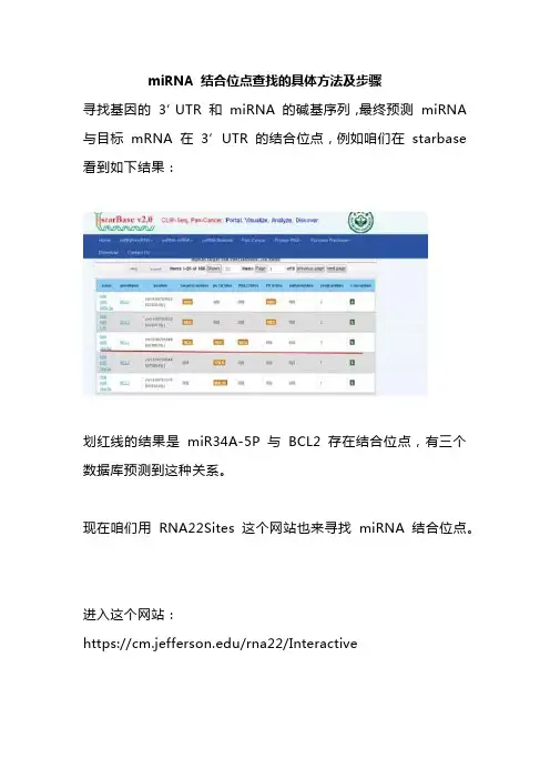 miRNA 结合位点查找的具体方法及步骤