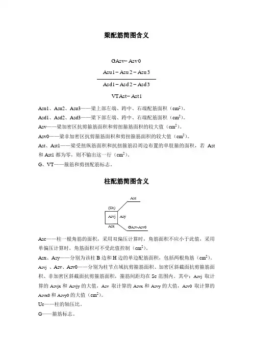SAT配筋简图