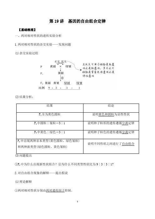 第19讲 基因的自由组合定律-2021年高考生物一轮复习名师精讲练(新高考地区专用)