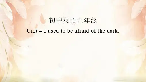 人教英语九年级全册 Unit 4 单元复习课件  (共31张PPT)