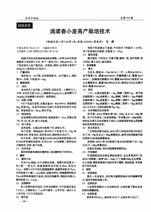 滴灌春小麦高产栽培技术