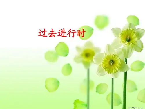 15--过去进行时