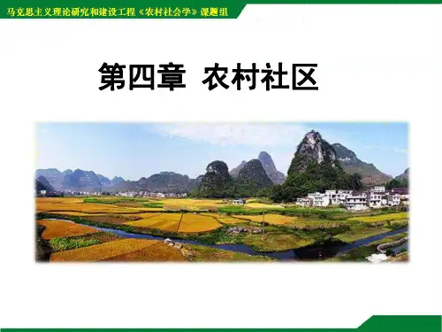 农村社会学课件 第四五章