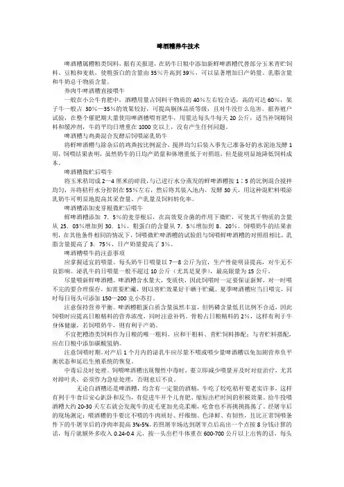 啤酒糟养牛技术