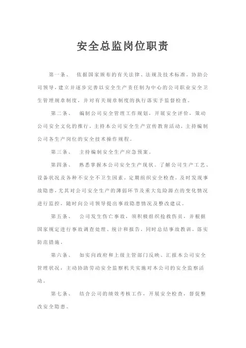 安全总监岗位职责 2