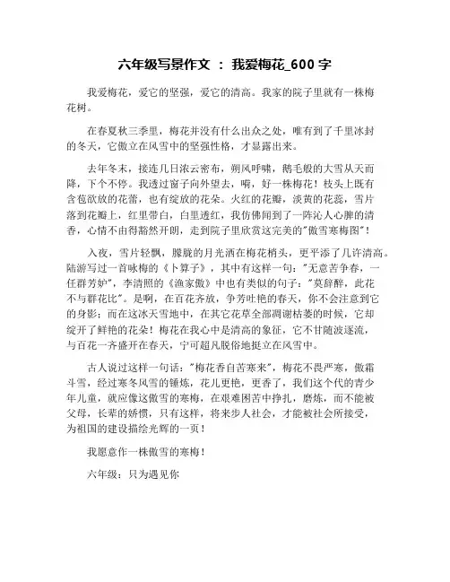 六年级写景作文 ： 我爱梅花_600字