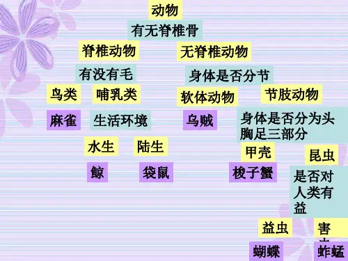 第三节 常见的植物(种子植物)