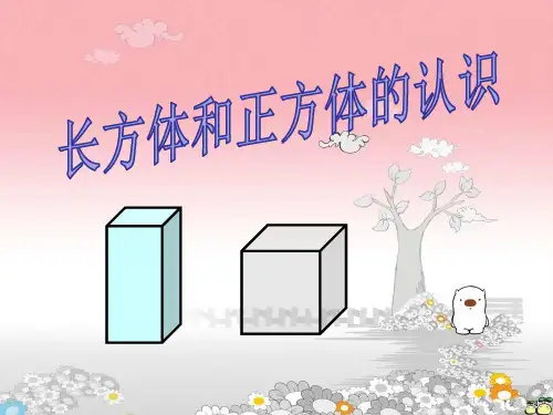【苏教版】数学六上：1.1《长方体和正方体的认识》教学课件