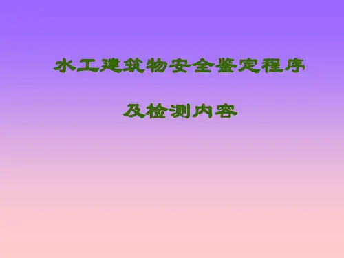 水工建筑物安全鉴定程序及检测内容上课讲义
