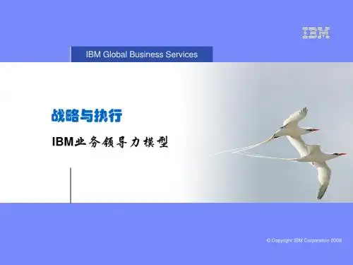 战略与执行IBM业务领导力模型概述(PPT 67张)