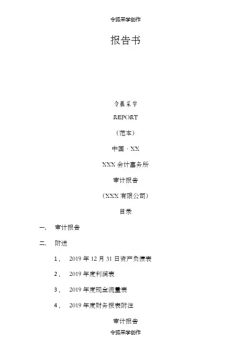 财务审计报告(范本)