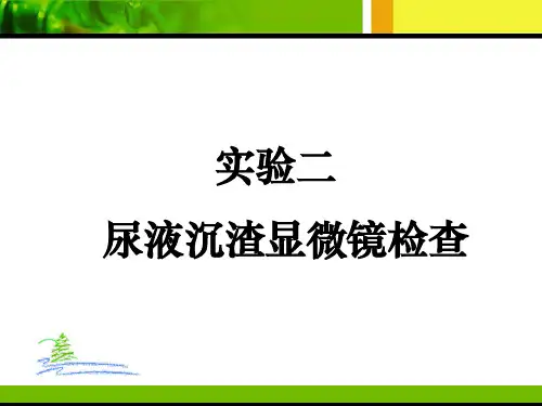 实验尿液检查ppt课件