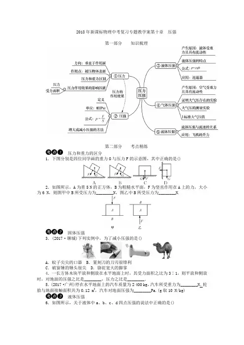 2018年新课标物理中考复习专题教学案第十章   压强