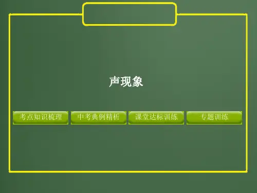 2012版中考复习物理精品课件(含11真题和12预测试题)专题--声现象
