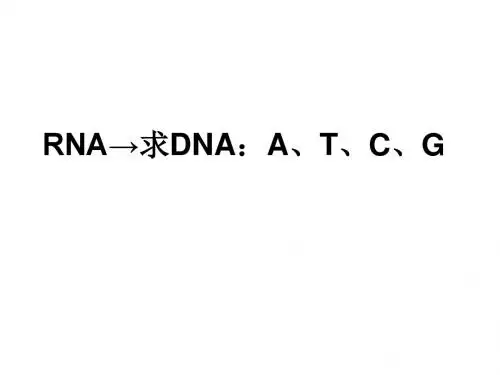 高二生物基因表达练习