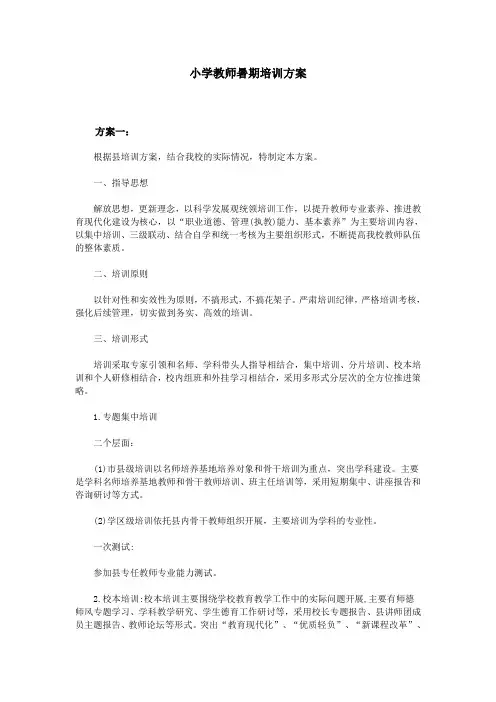 小学教师暑期培训方案