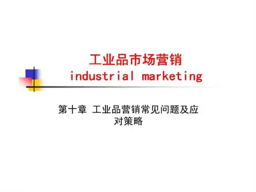 工业品市场营销 第十章 工业品营销常见问题及应对策略