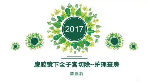 腹腔镜下全宫切护理查房PPT课件