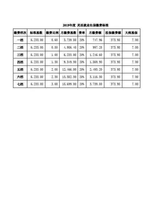2019年度 灵活就业社保缴费标准