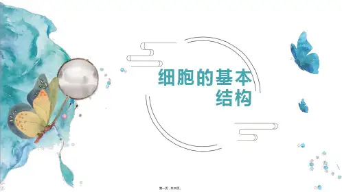 人教版高一生物必修一细胞的基本结构课件(ppt共20页)