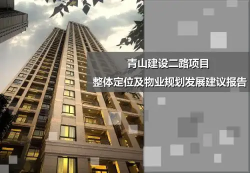 武汉青山建设二路纯商业综合体项目整体定位及物业规划发展建议报告