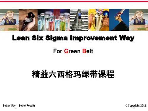 6西格玛绿带培训PPT