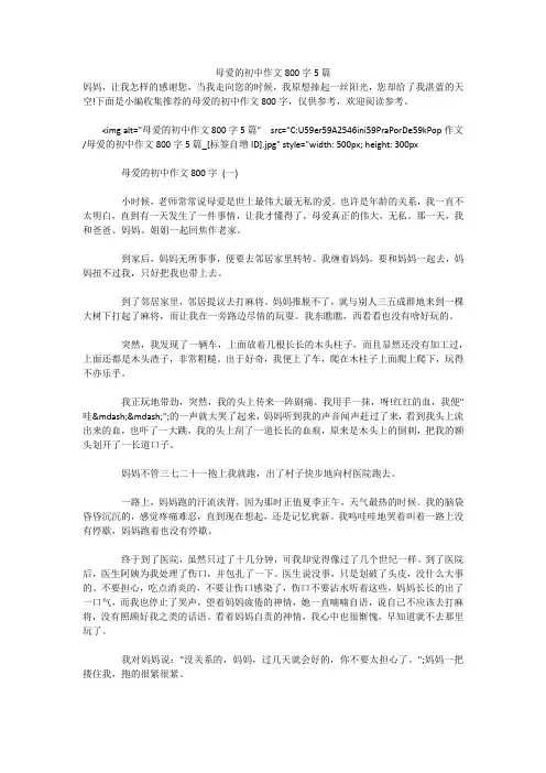 母爱的初中作文800字5篇