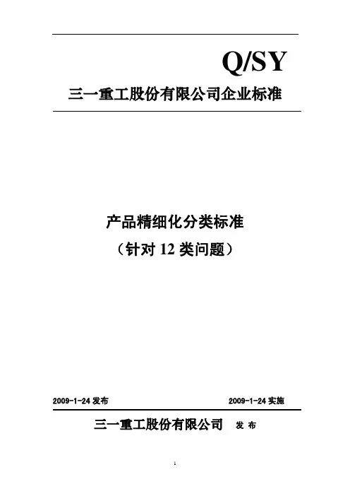 产品精细化分类标准(针对12类问题)