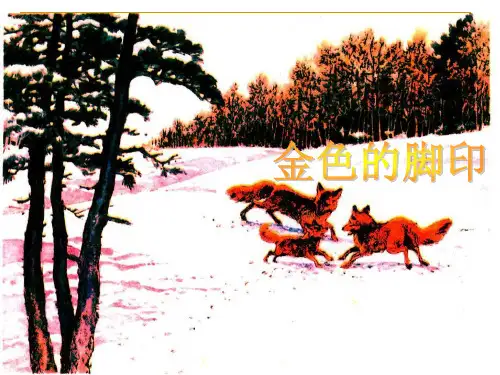 六年级上册语文课件-24、《金色的脚印》 ｜人教新课标    (共13张PPT)