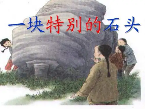 21《一块特别的石头》课件