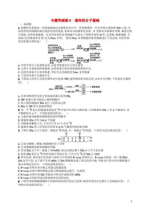 2019最新高考生物二轮复习 专题四 遗传学 专题突破练9 遗传的分子基础(考试专用)