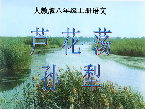 人教版八年级上册语文第二课芦花荡
