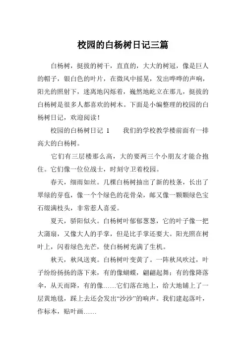 校园的白杨树日记三篇