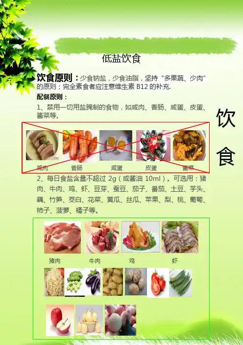 护理饮食宣教