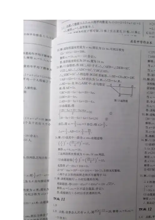 江苏九上启东中学作业答案
