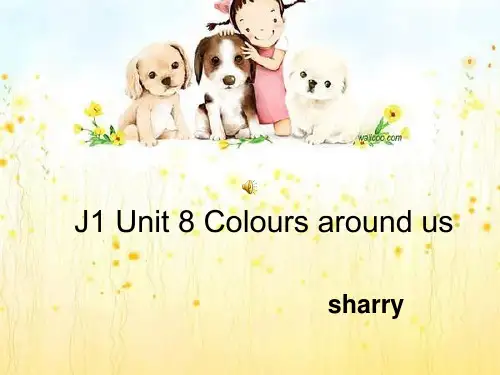 剑桥英语一级上colours  around us
