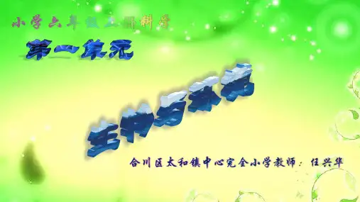 如果一棵大树倒下