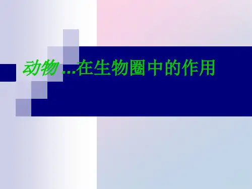 人教版初中生物八上5.3 动物在生物圈中的作用 课件 (共23张PPT)