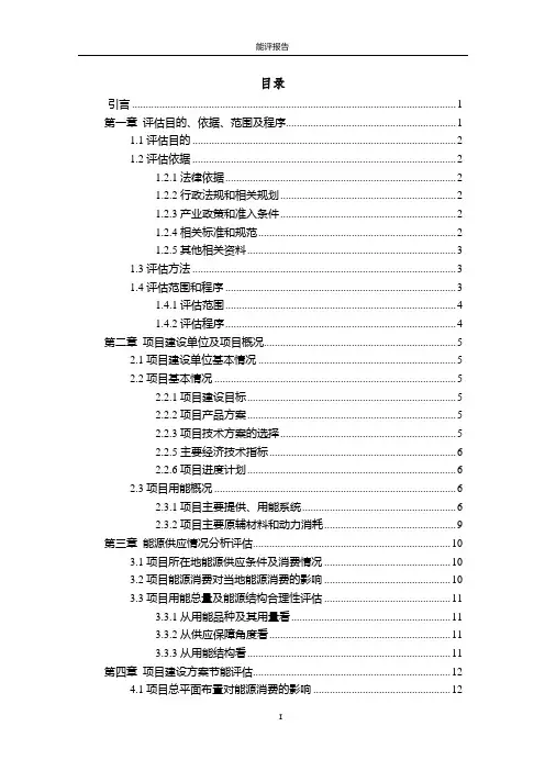 能评报告模板