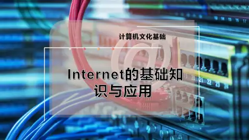 Internet的基础知识与应用
