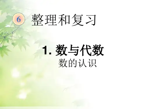 最新人教版六年级下册数学第六单元整理复习数与代数-数的认识