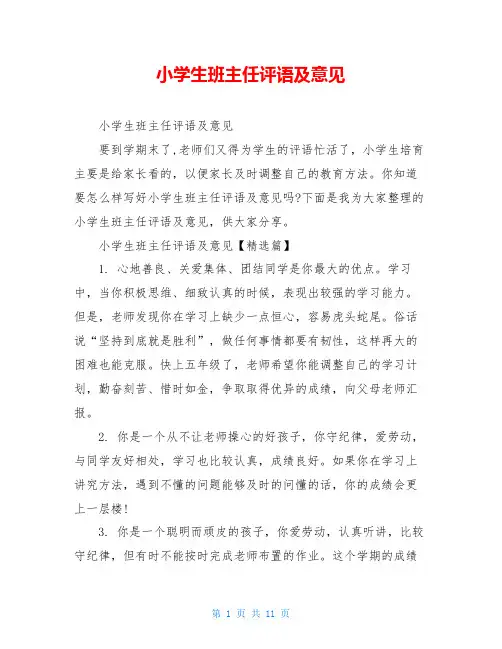 小学生班主任评语及意见