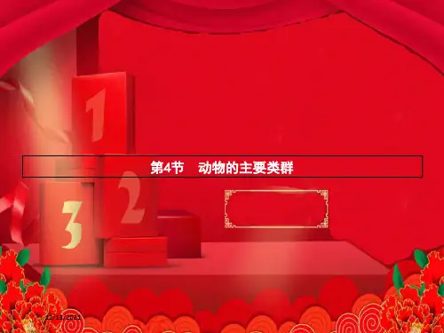 八年级.生物下册 第22章 第4节 动物的主要类群课件下册生物课件