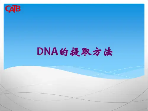 DNA的提取方法