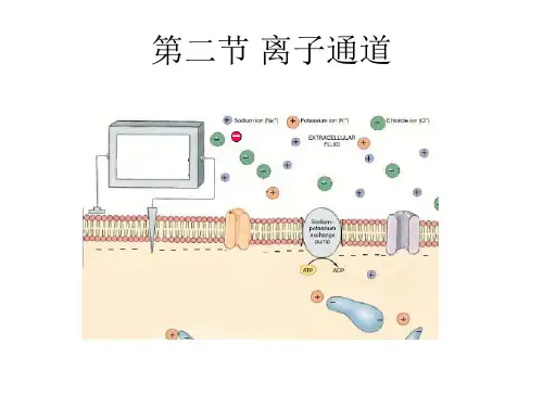 第二节离子通道ppt课件