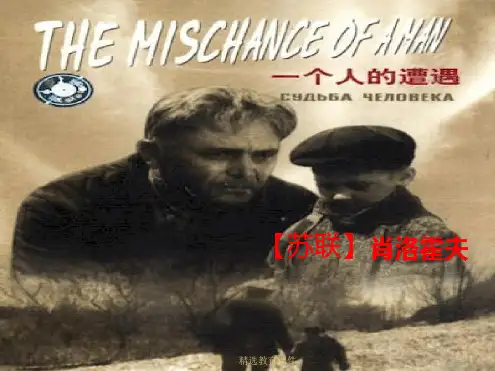 苏教版高中语文必修二第2专题《一个人的遭遇(节选)》新课讲知课件1