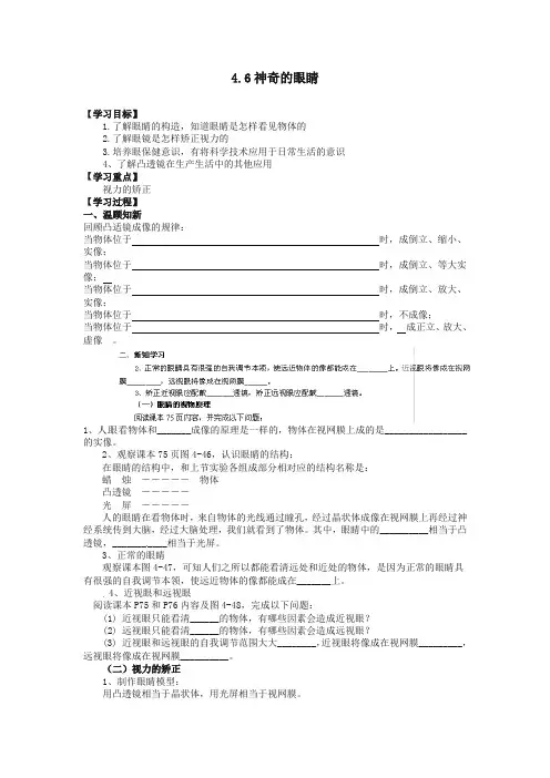 沪科版八年级物理全册 4.6 神奇的眼睛导学案(精编版)