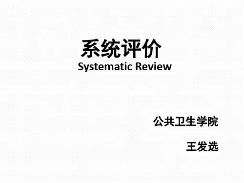 系统评价